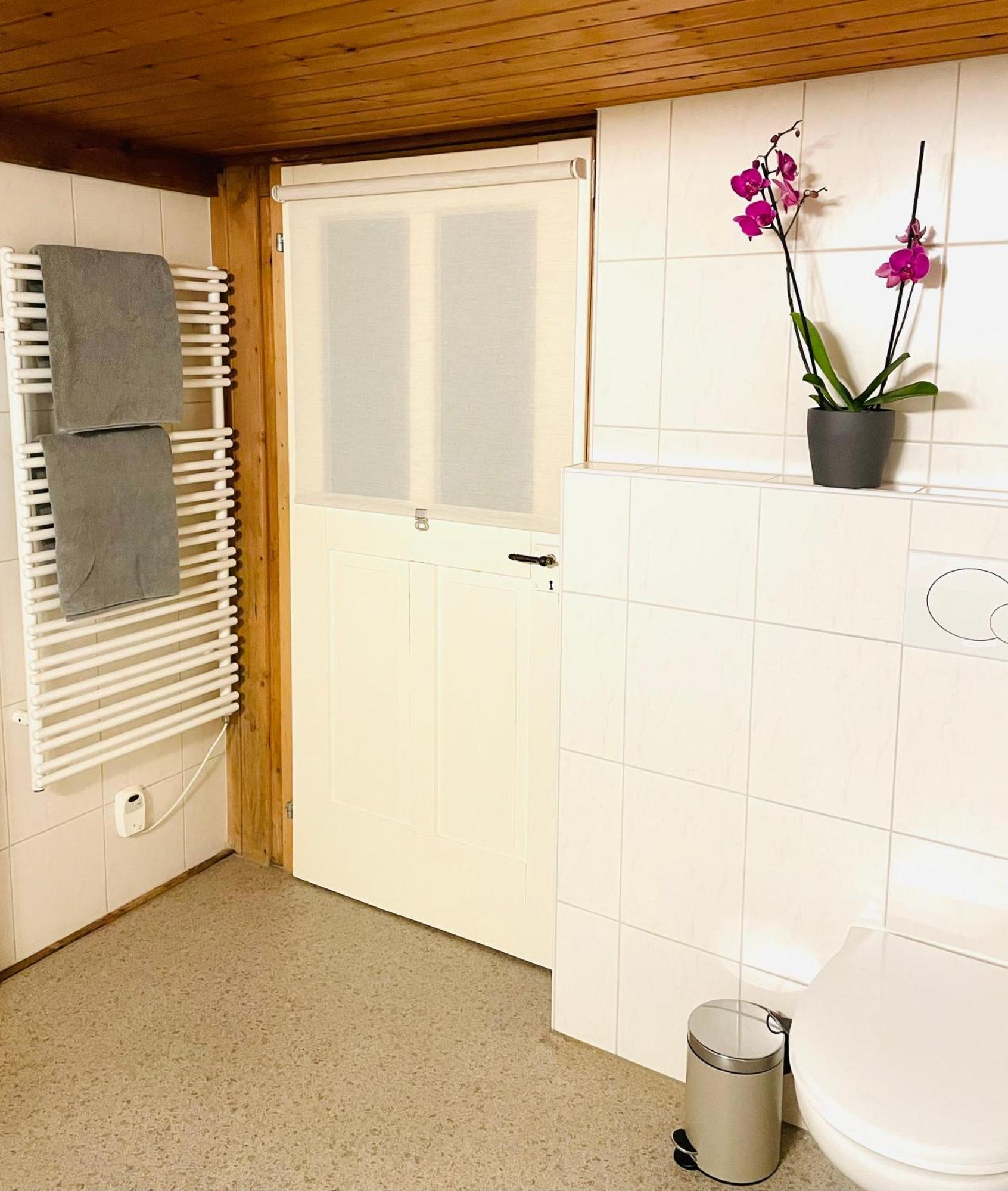 Lovely & Great Equipped Wooden Alp Chalet Flat カンデルシュテッグ エクステリア 写真
