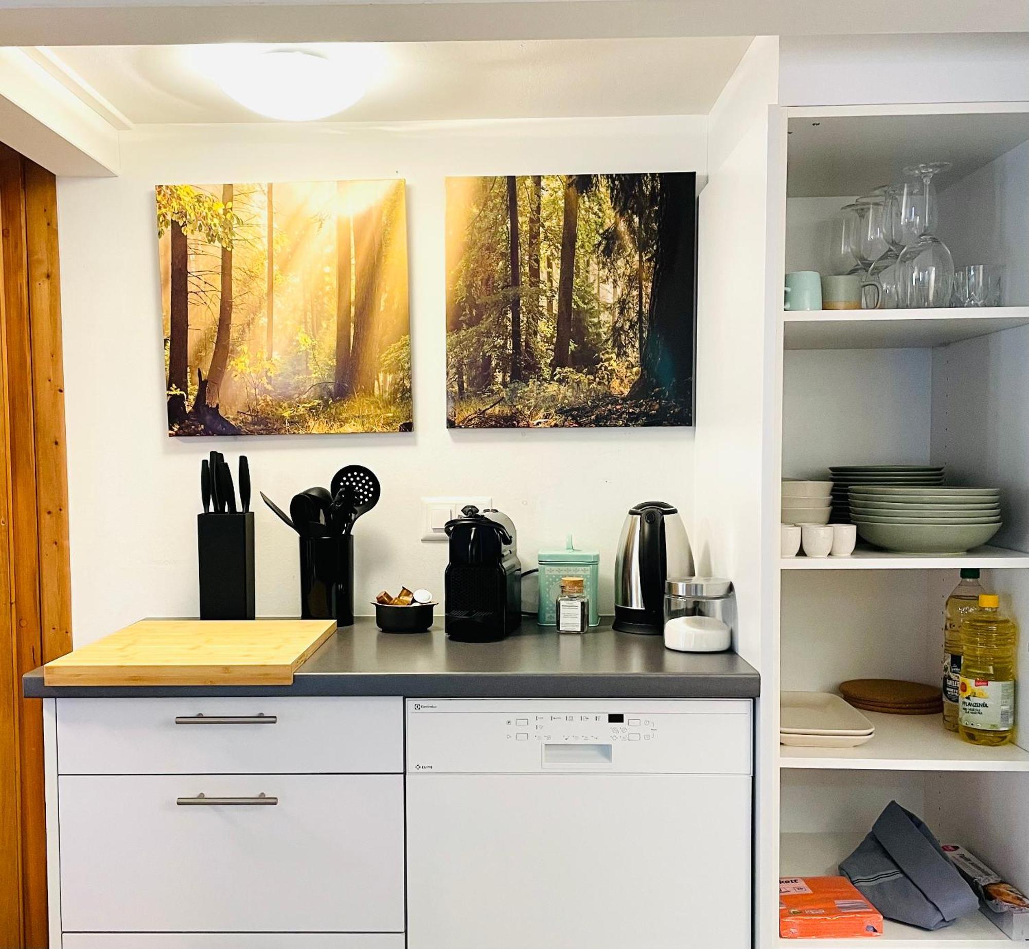 Lovely & Great Equipped Wooden Alp Chalet Flat カンデルシュテッグ エクステリア 写真
